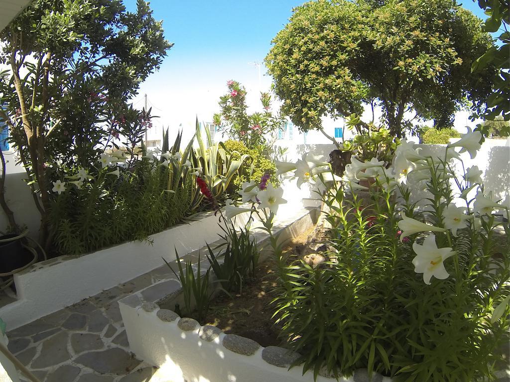 Kavaki Studios Mykonos Town Oda fotoğraf